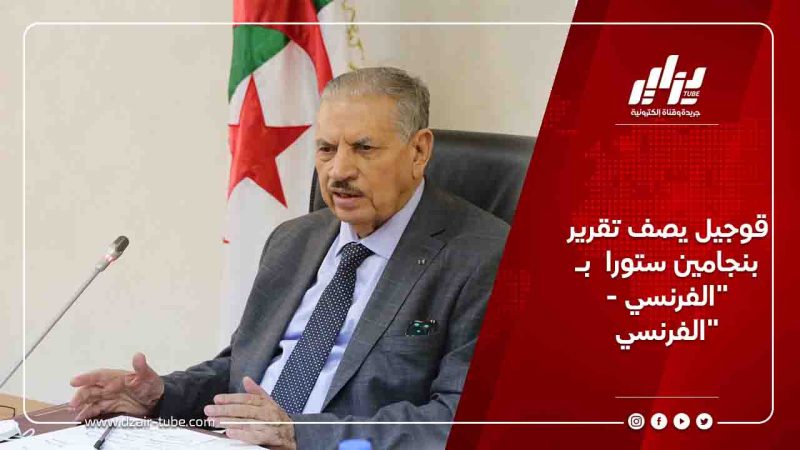 قوجيل يصف تقرير بنجامين ستورا بـ “الفرنسي – الفرنسي”