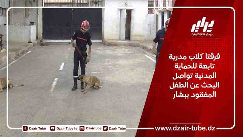 فرقتا كلاب مدربة تابعة للحماية المدنية تواصلان البحث عن الطفل المفقود ببشار
