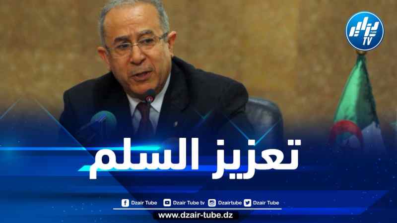 لعمامرة يؤكد انخراط الجزائر في مساعي حل الأزمة في أوكرانيا