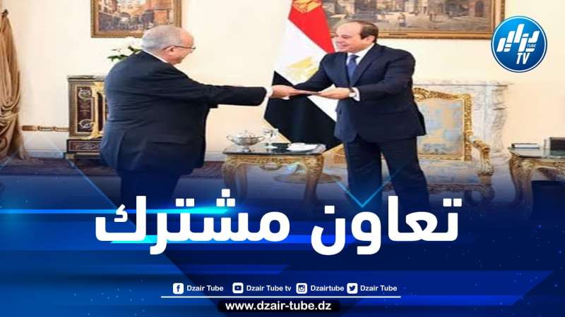 مصر تتسلم دعوة حضور أشغال القمة العربية بالجزائر