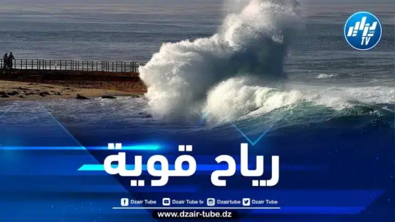 رياح قوية على أغلب السواحل الوطنية