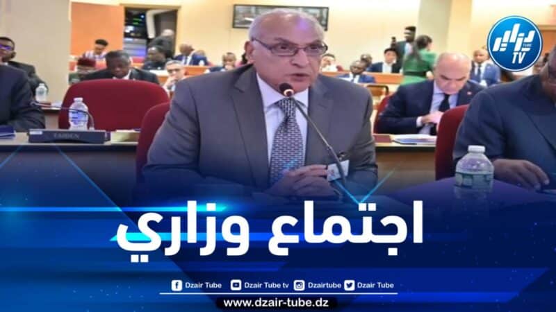وزير الخارجية يشارك في الاجتماع الوزاري لمنتدى التعاون الإفريقي-الصيني