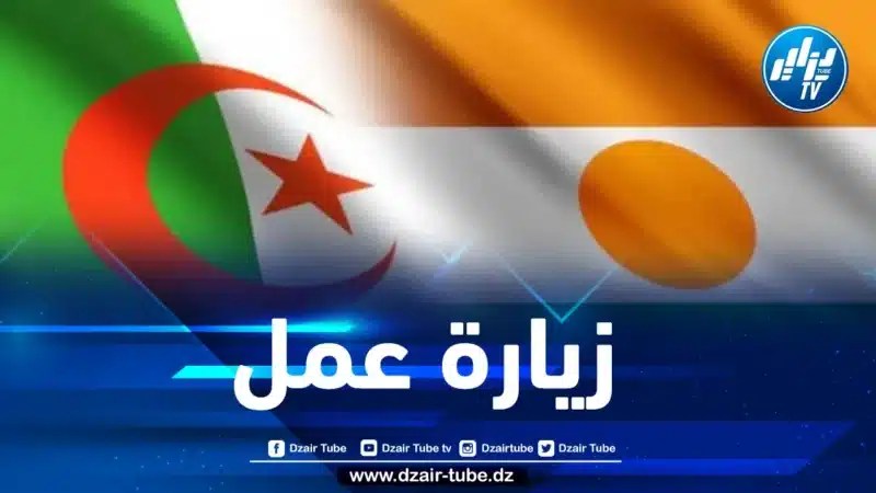 وزير البترول النيجيري في زيارة عمل إلى الجزائر.