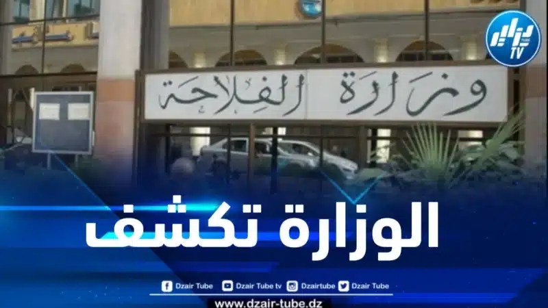 وزارة الفلاحة تكشف المعدل الوطني لأسعار الخضر والفواكه واللحوم ليوم 6 أكتوبر