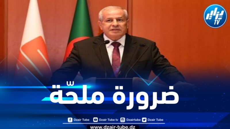 حشيشي: الطاقات المتجددة يجب أن تكون في صميم إستراتيجيتنا على المدى الطويل
