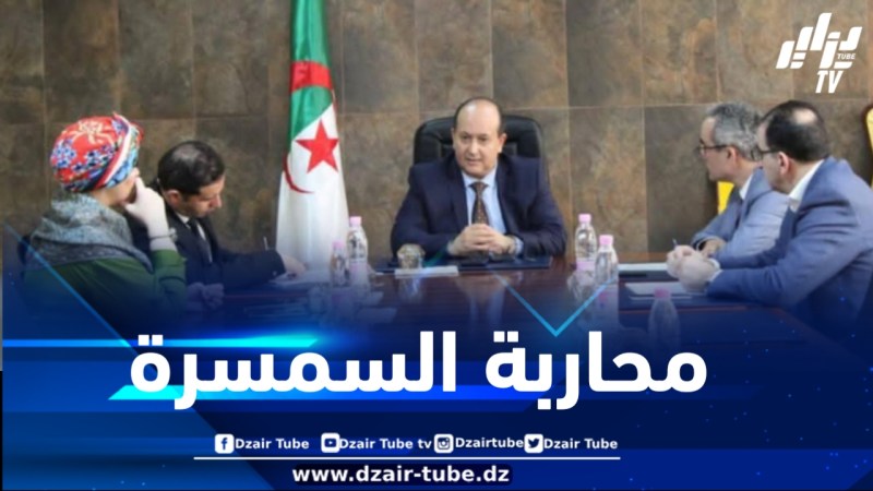 بهدف محاربة المضاربة والسمسرة… تعرف على أبرز الإجراءات لاقتناء سيارات فيات