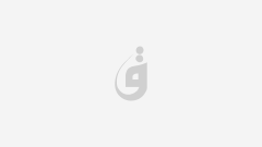 الرئيس تبون يستقبل الرئيس الجديد للسلطة الوطنية المستقلة للانتخابات (فيديو)