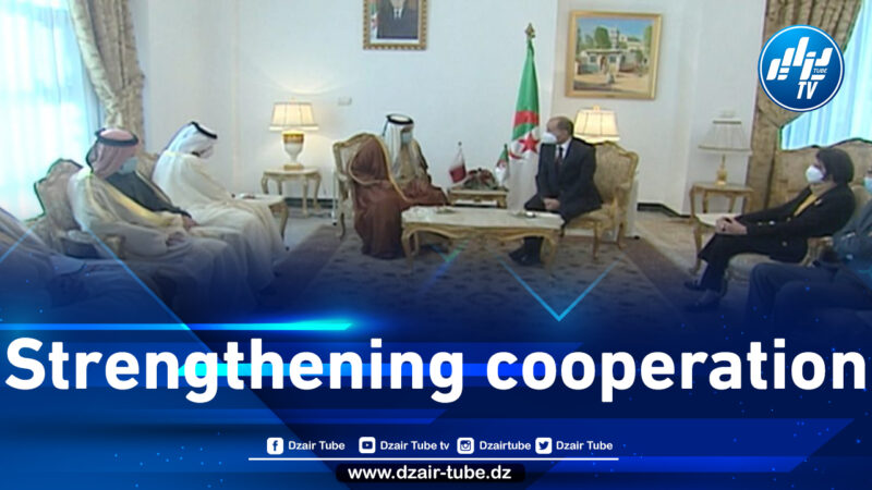 The President of the Constitutional Court discusses with the Qatari Minister of Justice the strengthening of bilateral cooperation