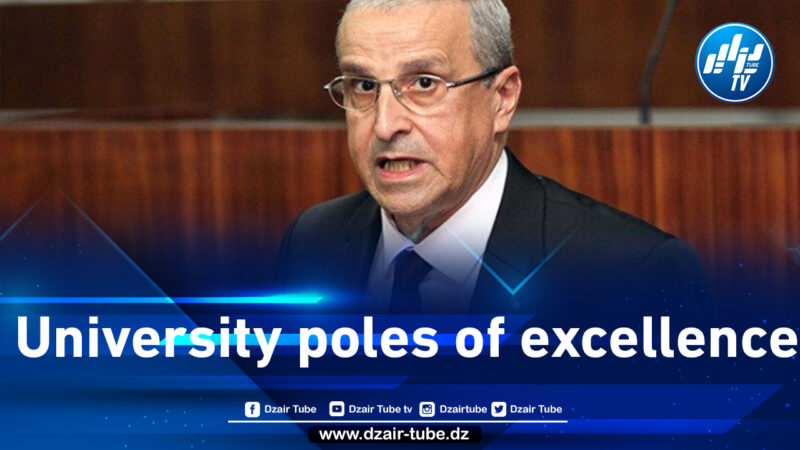 Higher education: work for the development of the university map in the medium and long term