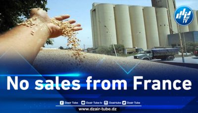 Algeria buys wheat in tender from South America and Black Sea region