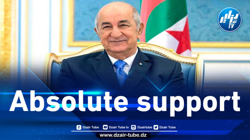 AFCON 2021: President Tebboune reaffirms his “absolute support” for the national team