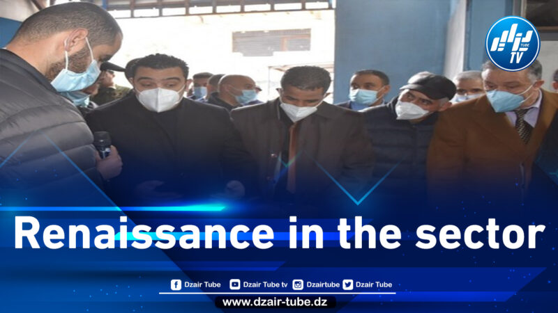 Minister Salaouatchi pushes the fishing sector to increase its production according to a strategy concerned with professionals and to develop shipbuilding