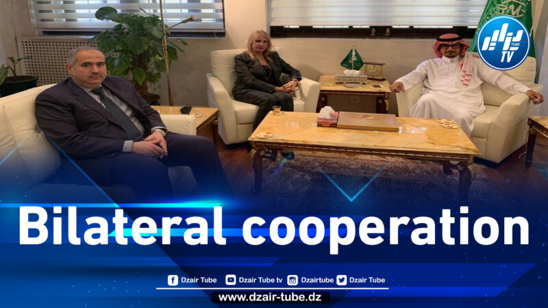 Saida Neghza discusses with the Saudi Ambassador the opportunities for cooperation between the two countries