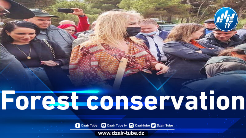 Saida Neghza signs a cooperation agreement with the forests of the wilaya of Tipaza