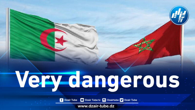 Do managers of Algerian insurance companies contracting with French and Spanish companies know that they have sold their branches in Algeria to an insurance company affiliated with the Makhzen?