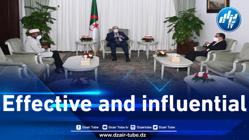 President Tebboune asked to contribute to a “successful and peaceful” transition in Guinea