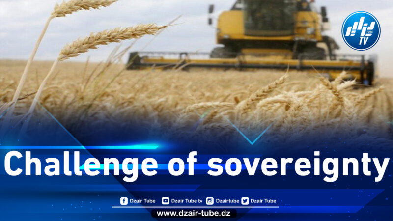 Agriculture: the sector that has taken up the challenge of food security in independent Algeria