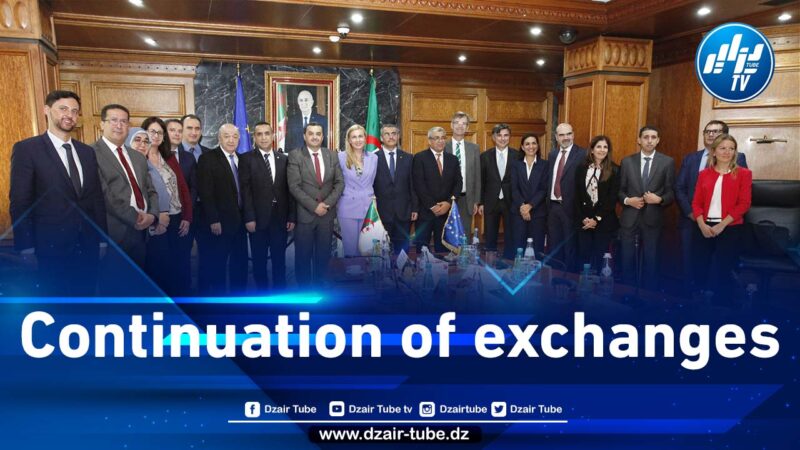 Algeria and the EU renew their common will to strengthen partnership relations in the energy field