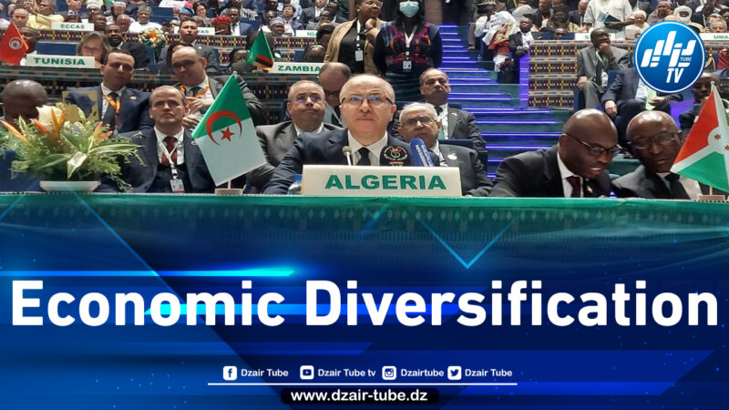 Niamey: Work of 17th Extraordinary Summit of AU on industrialization, economic diversification begins