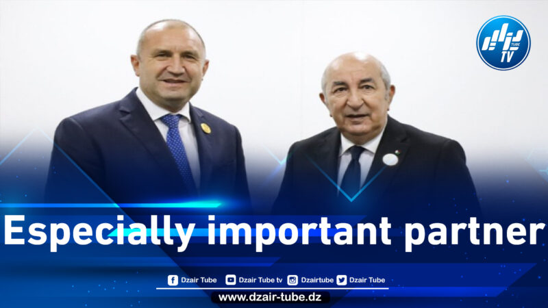 Bulgaria highly values Algeria’s role as factor of stability in North Africa, Mediterranean Sea