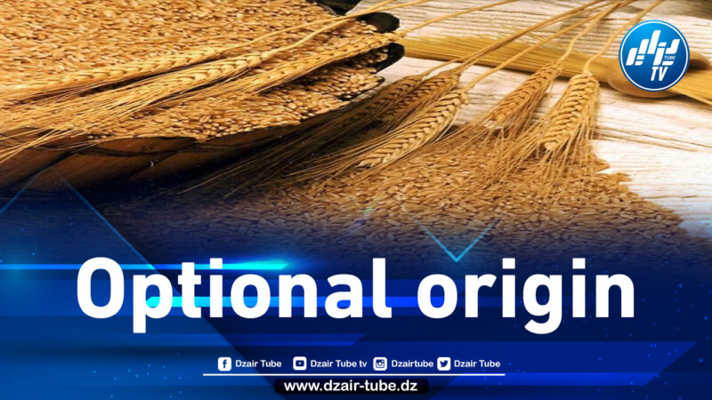 Algeria purchases up to 480,000 T wheat -traders