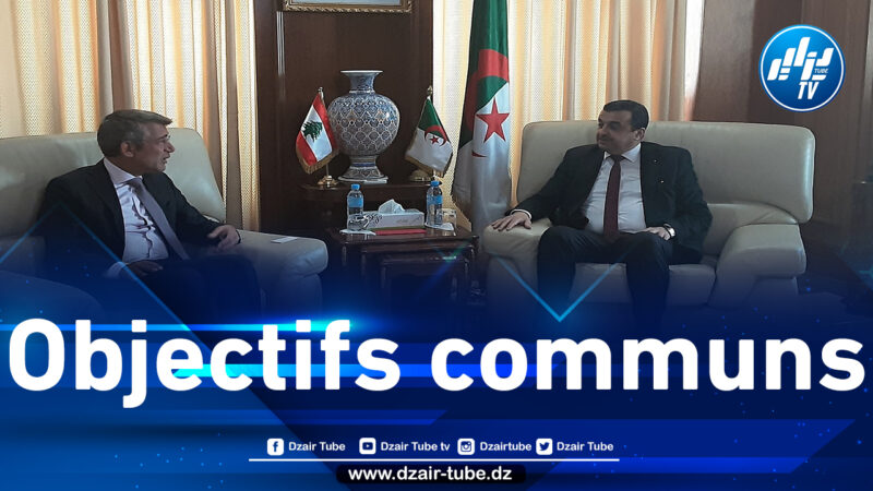 Arkab discusses with his Lebanese counterpart the opportunities for bilateral cooperation