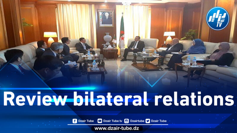 Health: Algerian-Portuguese cooperation tabled