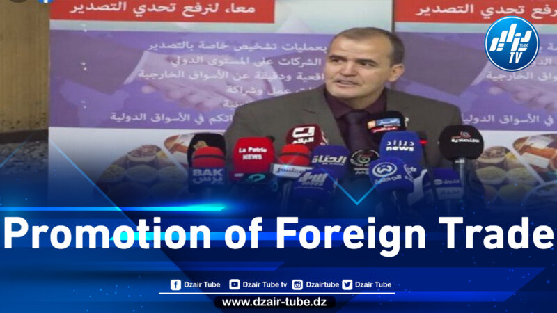 Ministry of Commerce intends to export Algerian dates to 150 countries by the end of 2024