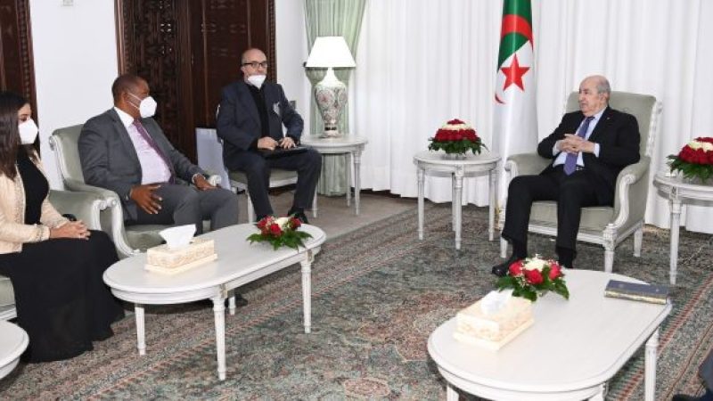 Received by President Tebboune: Zwelivelile Mandela aspires to open direct airline linking both revolutionary countries