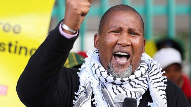 South Africa’s Zwelivelile Mandela begins visit to Sahrawi refugee camps