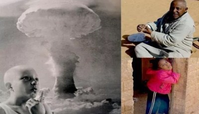 French nuclear disaster in Algeria:  Hike in cases of cancer, congenital anomalies and infertility, disastrous effects for fauna and flora