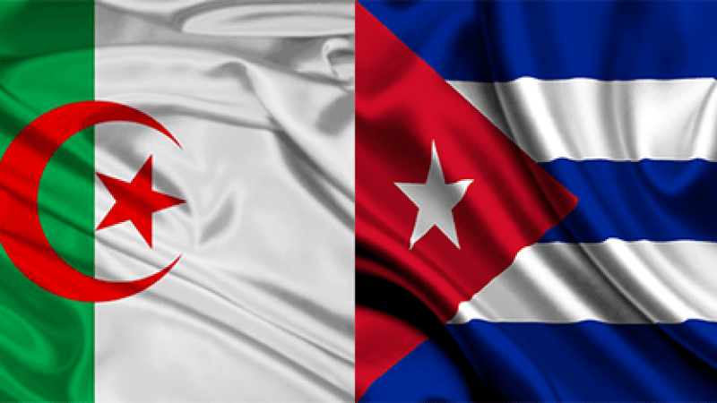 Algerian-Cuban Joint Commission: Several cooperation agreements, crowning privileged relations, on agenda