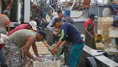 Interministerial decision relating to professional experience of fishermen inked