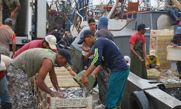 Interministerial decision relating to professional experience of fishermen inked