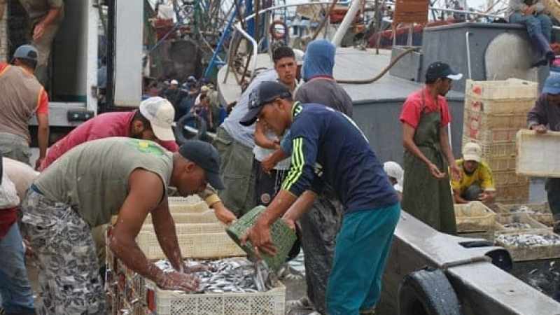 Interministerial decision relating to professional experience of fishermen inked