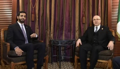 Algeria, UAE pay heed to expansion of ties