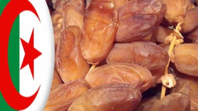 Date production: Algeria ranked 4th worldwide