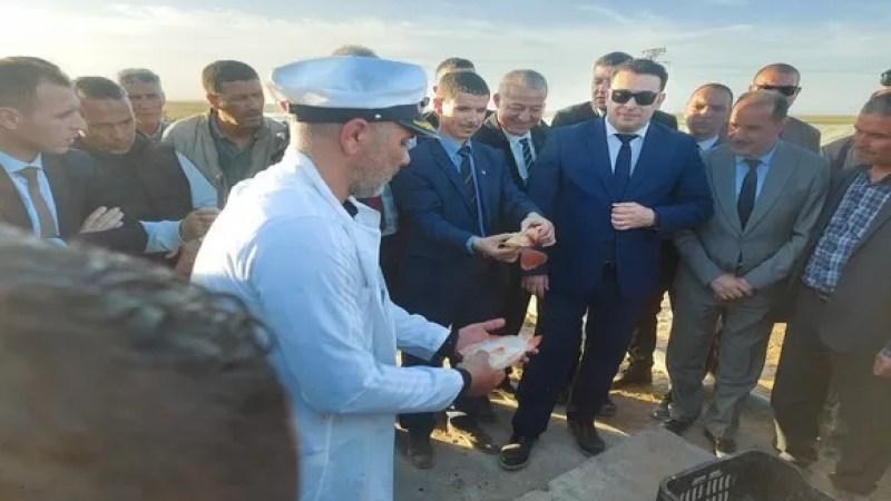 Fisheries Minister Salaouatchi: “Increase of red Tilapia production would strengthen food security”