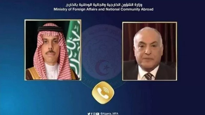 Algeria, Saudi Arabia to continue efforts to strengthen joint Arab action