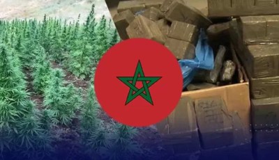 Moroccan Drug Mafia: Growing threat to Europe, North Africa, controlling third of cocaine market in Europe