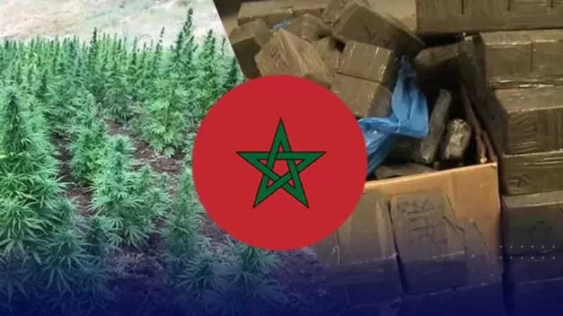 Moroccan Drug Mafia: Growing threat to Europe, North Africa, controlling third of cocaine market in Europe