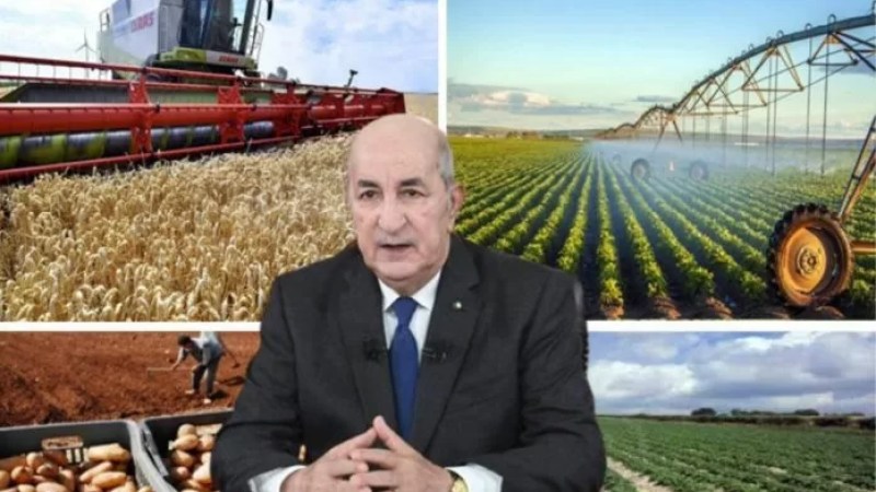 Food self-sufficiency in Algeria: President Tebboune’s objectives