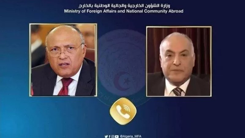 Algeria, Egypt to enhance relations as per directives of political leadership in both countries