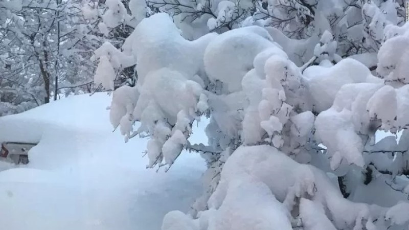 ☔️ Special Weather Forecast Bulletin: Snowfall covering reliefs of 800-1100 meters of altitude