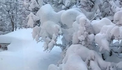 ☔️ Special Weather Forecast Bulletin: Snowfall covering reliefs of 800-1100 meters of altitude