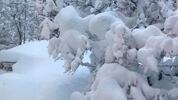 ☔️ Special Weather Forecast Bulletin: Snowfall covering reliefs of 800-1100 meters of altitude