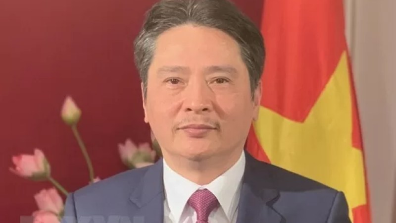Vietnam, Algeria pay heed to further develop economic ties: diplomat