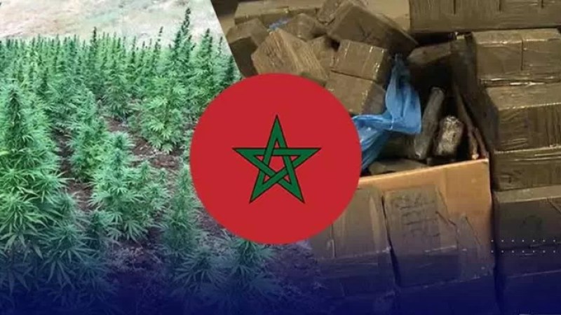 “Algeria faces war of drugs waged by its western neighbour,” says Interior Minister Merad