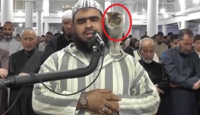 Cat climbing on Algerian imam’ shoulder: Moroccans appropriate video that made global buzz