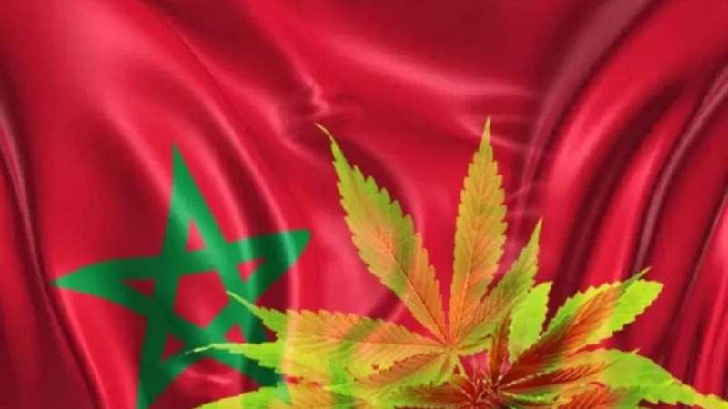 Saharawi President Ghali calls on neighboring countries to confront flow of Moroccan drugs in region